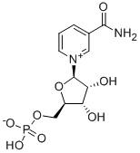 99% NMN 煙酰胺單核苷酸