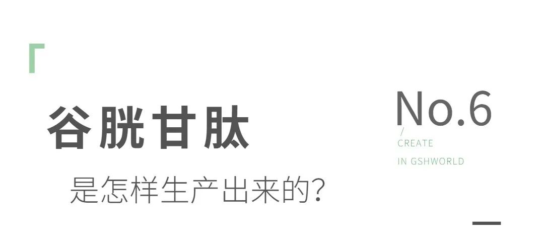 谷胱甘肽是如何生產(chǎn)的？