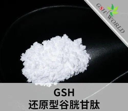 作為行業(yè)內知名企業(yè)，古特生物分享還原型谷胱甘肽全面解析