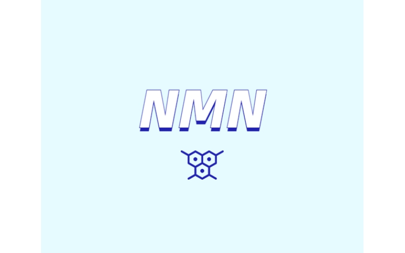 NMN對人體有什么潛在效果？